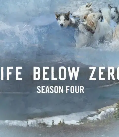 《零度以下的生活第四季》：冰雪下的真实人生，残酷又温暖！