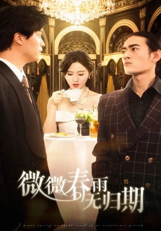 《微微春雨无归期》：一场关于希望与救赎的灵魂之旅，在雨中寻找生命真谛