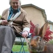 《和帕特里夏·劳特利奇一起追寻碧翠丝·波特》：重拾童心，感受生命之光，一场跨越时空的治愈之旅