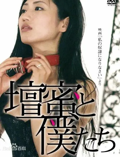 做我的奴隶3 海报